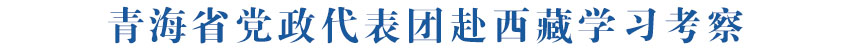 青海省党政代表团赴西藏学习考察 王君正嘎玛泽登分别与罗东川会见 严金海参加