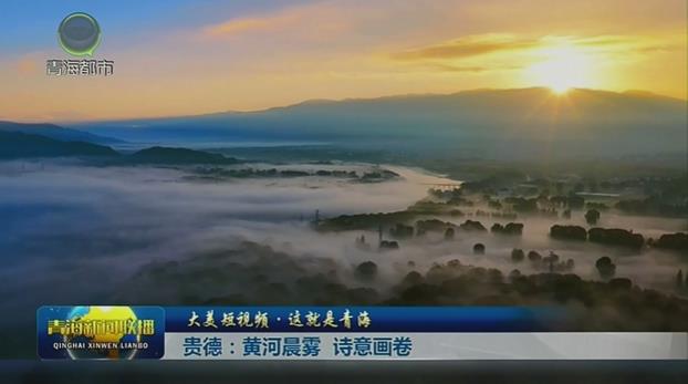 【大美短視頻·這就是青?！抠F德：黃河晨霧 詩意畫卷