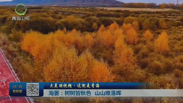【大美短視頻·這就是青?！亢ｊ蹋簶錁浣郧锷?山山唯落暉