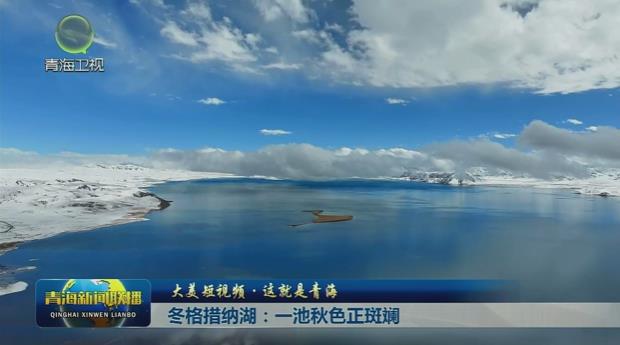 【大美短視頻·這就是青?！慷翊爰{湖：一池秋色正斑斕