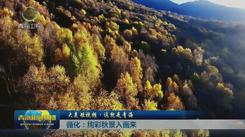 【大美短視頻·這就是青?！垦航k彩秋景入畫(huà)來(lái)