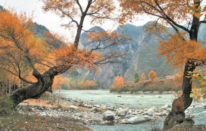 【生態(tài)深一度】漫山林海攜綠來——互助北山林場生態(tài)觀察