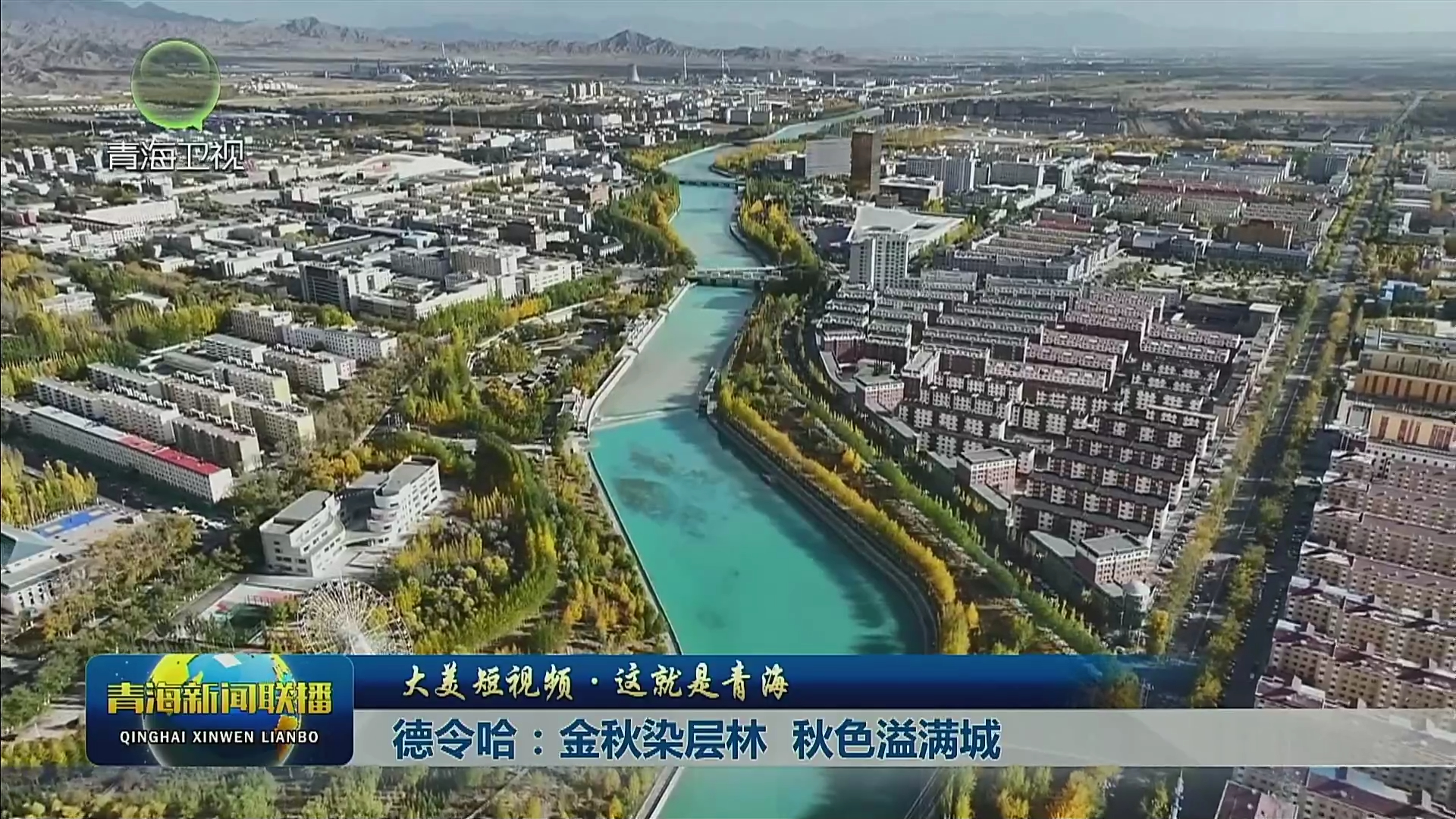 【大美短视频·这就是青海】德令哈:金秋染层林 秋色溢满城