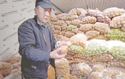 【“山水黄南 高原天品”黄南州绿色有机农畜产品区域公用品牌媒体行系列报道】黄南打造特色农产品矩阵 引领产业升级