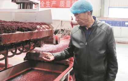 【辉煌“十四五” 改革谱新篇·说说这五年】火焰蔘“燃”旺东山村