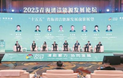 聚智汇力共话清能新未来——2025青海清洁能源发展论坛现场见闻