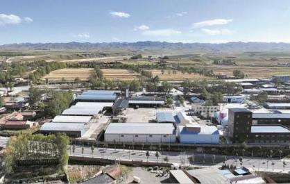 【家住黃河源】良種沃野立 牧歌貴南新