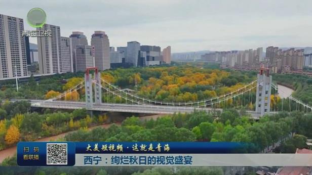 【大美短視頻·這就是青?！课鲗帲航k爛秋日的視覺(jué)盛宴