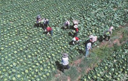 【輝煌“十四五” 改革譜新篇】“青字號”鏈通四海闖世界——青?！笆奈濉卑l(fā)展成就巡禮之四