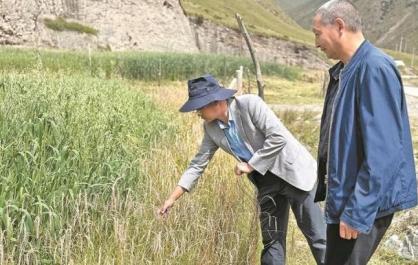 【党旗在基层一线高高飘扬】驻村9年，让深山牧业村 蜕变...