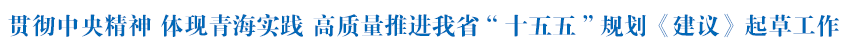 省委召开专题会议 贯彻中央精神 体现青海实践 高质量推进我省“十五五”规划《建议》起草工作 吴晓军主持 罗东川出席