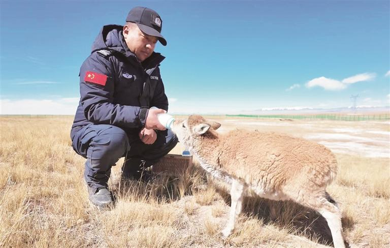 微信图片_20251110062720_233_174