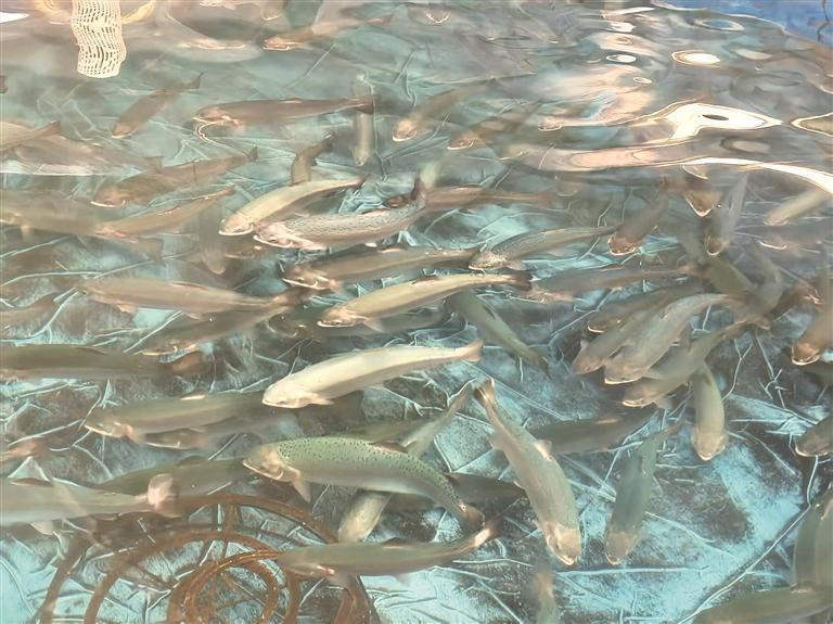 微信图片_20251110055605_222_174