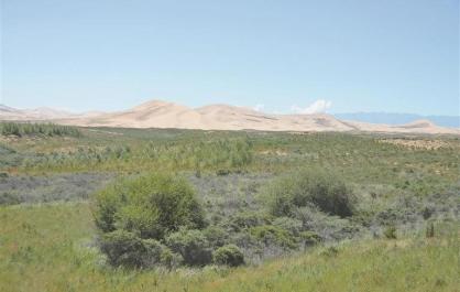 一幅綠野盈洲的壯美畫卷