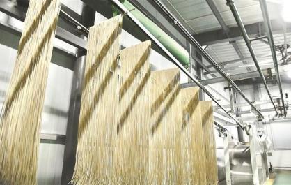 一把面條“煮”出鄉村振興好日子