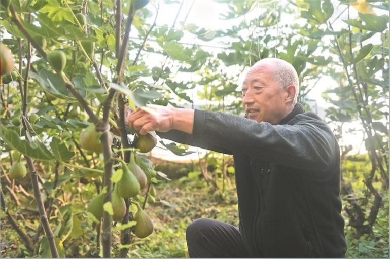 ScreenShot_2025-11-23_064634_716