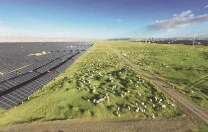 【波瀾壯闊“十四五”】高原之治 綠色之基 新時(shí)代青海為國家發(fā)展注入生態(tài)動(dòng)能