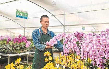 【四中全會(huì)精神在基層】太湖魚躍黃河岸 錫山花開化隆春