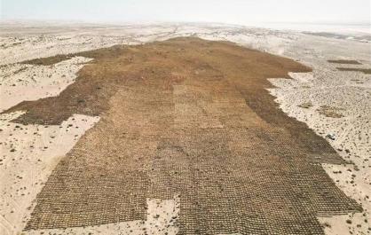 【新時(shí)代 新征程 新偉業(yè)·高質(zhì)量發(fā)展調(diào)研行】政企同心：共繪治沙“同心圓”——青海全力推進(jìn)“三北”工程攻堅(jiān)戰(zhàn)系列報(bào)道之五