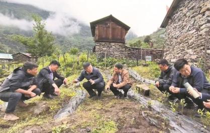 茶香弥漫，百姓笑了！