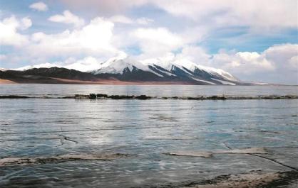 【生态深一度】十八年坚守，只为可可西里