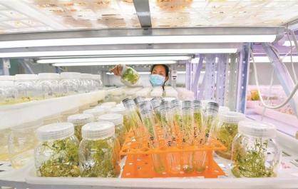 【辉煌“十四五” 改革谱新篇】以创新驱动书写高质量发展新篇章——青海“十四五”发展成就巡礼之十一