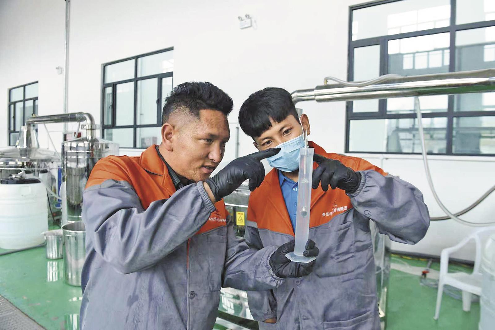 工人观察刚出炉的青稞酒。本报记者 殷之皓 摄