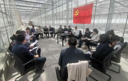 【黨旗領(lǐng)航】黨建引領(lǐng)“統(tǒng)種共富” 高原菜心香飄四方