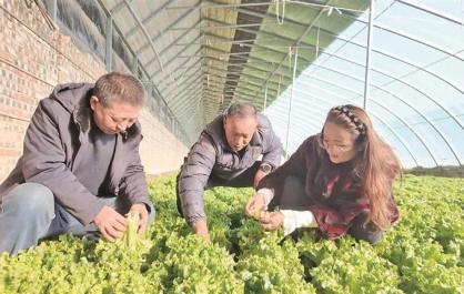 “大棚經(jīng)濟”促雙贏 青海湟中：充實“菜籃子” 鼓起“錢...