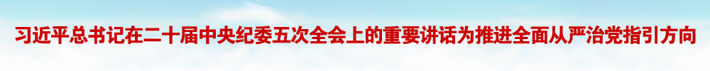 习近平总书记重要讲话为推进全面从严治党指引方向