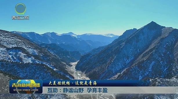 【大美短視頻·這就是青?！炕ブ红o謐山野 孕育豐盈