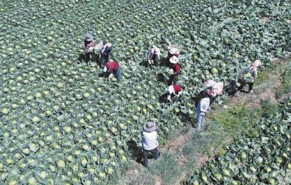 粮安底色足 振兴动能强 ——2025年青海省年终经济观察之二