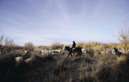 哈西娃村的两个“金饭碗”