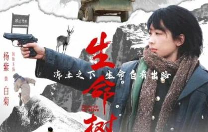 《生命树》火了！青海火了！真切还原可可西里守护者故事