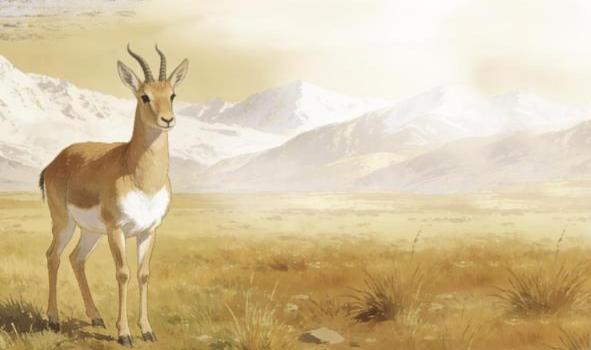 【新时代 新征程 新伟业·高质量发展调研行】荒原为证，生命树扎根无人区——青海生态守护启示录（上）