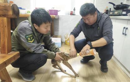 【青海好人】守护林海雪山，他仍是那个兵