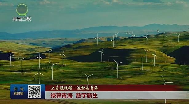 【大美短视频·这就是青海】绿算青海 数字新生