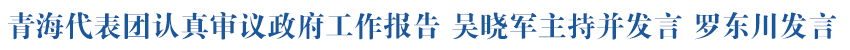 青海代表团认真审议政府工作报告 吴晓军主持并发言 罗东川发言
