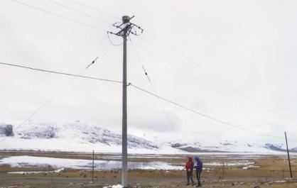 守護(hù)“生命鳥巢”