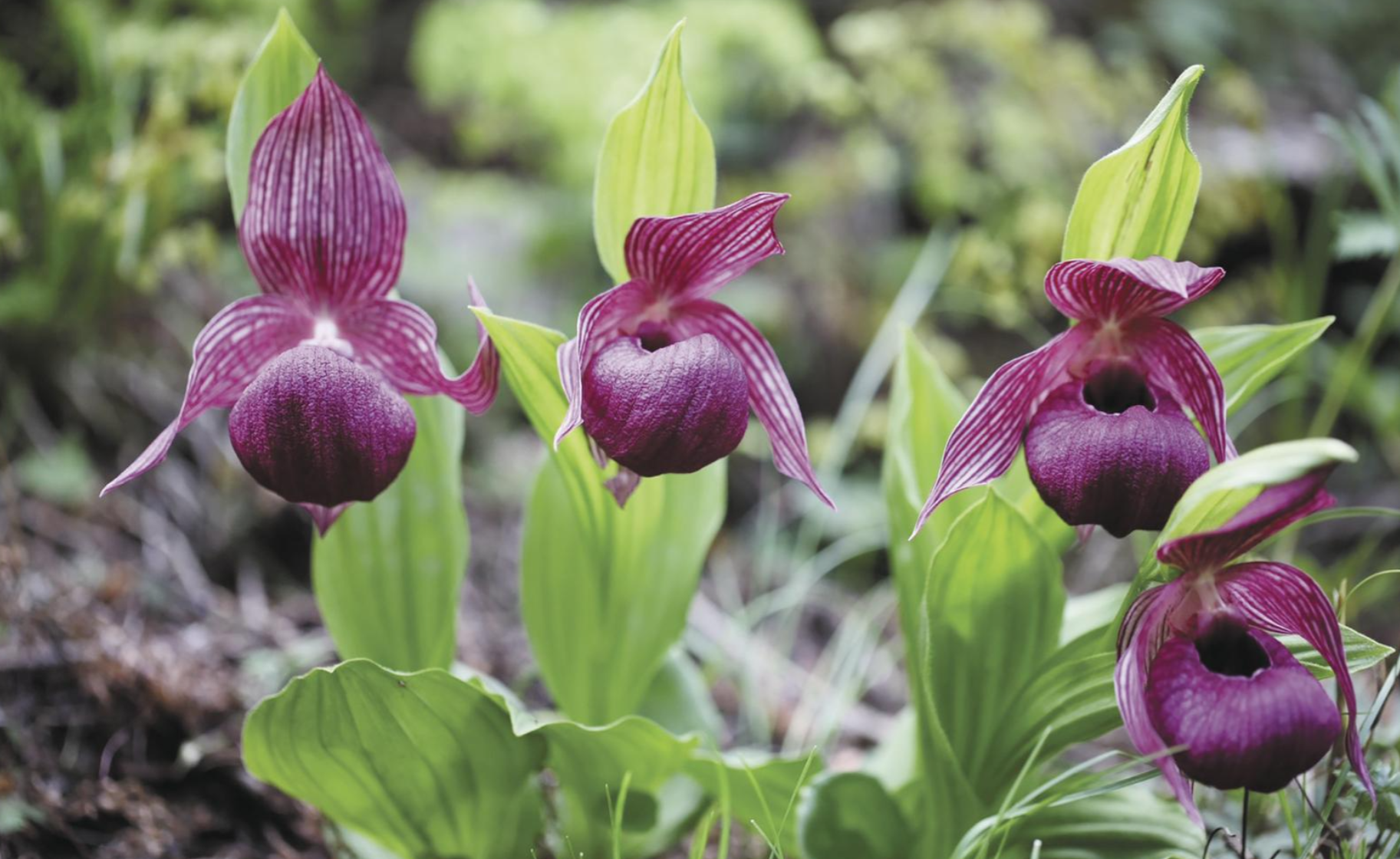 ScreenShot_2026-03-09_043619_400