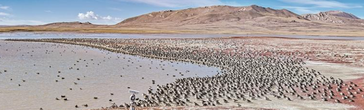 ScreenShot_2026-03-09_053637_937