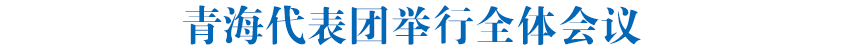 青海代表团举行全体会议 审议全国人大常委会工作报告、全国人大常委会关于法律清理工作情况和有关法律和决定处理意见的报告 吴晓军罗东川发言