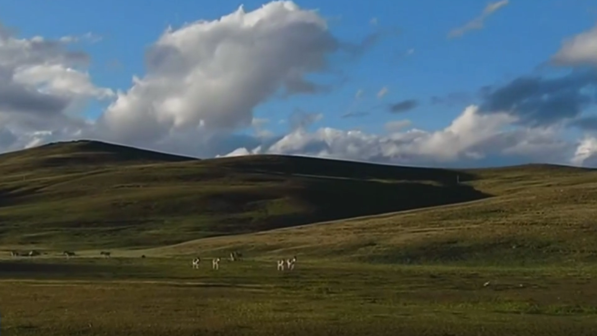 【大美短视频·这就是青海】青海：群山巍峨 风光壮美