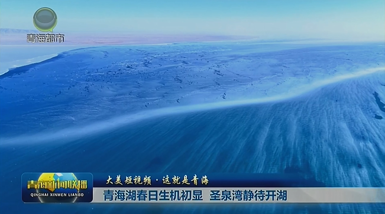【大美短视频·这就是青海】青海湖春日生机初显 圣泉湾静待开湖
