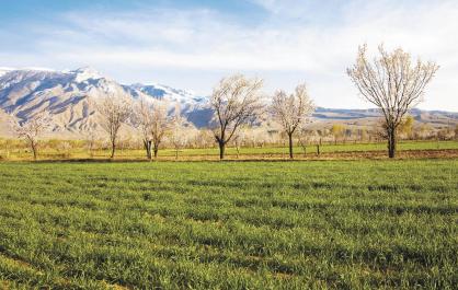 贵德：春潮涌动备耕忙