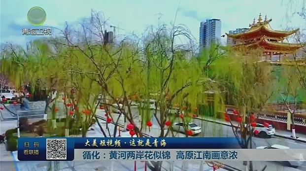【大美短视频·这就是青海】循化：黄河两岸花似锦 高原江南画意浓