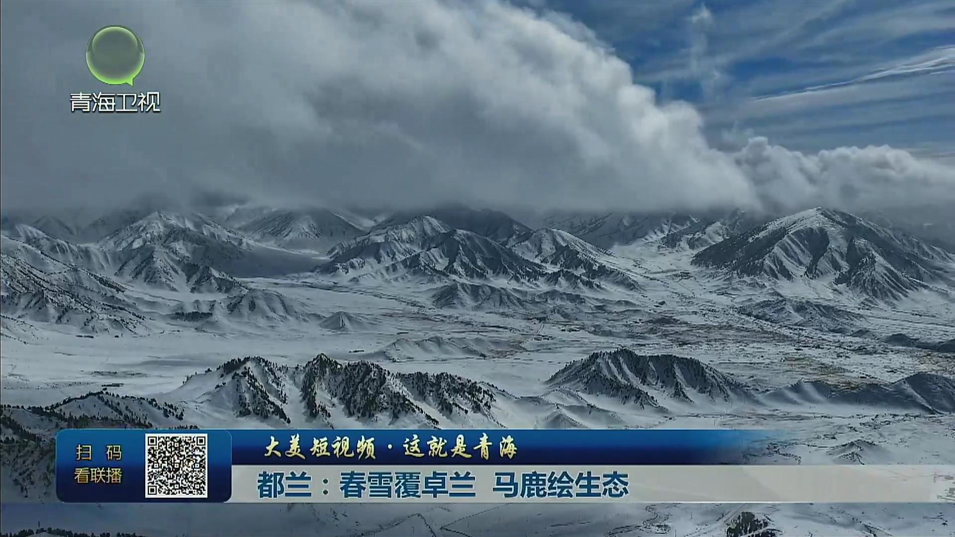【大美短視頻·這就是青海】電網(wǎng)聚能 綠算起勢