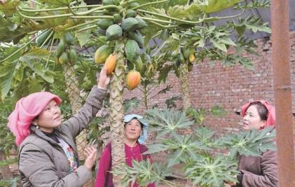 【青海“兩山”答卷】一河碧水潤(rùn)尖扎 雙向奔赴向未來(lái)——黃南州尖扎縣踐行“兩山”理念書(shū)寫(xiě)黃河安瀾富民新答卷