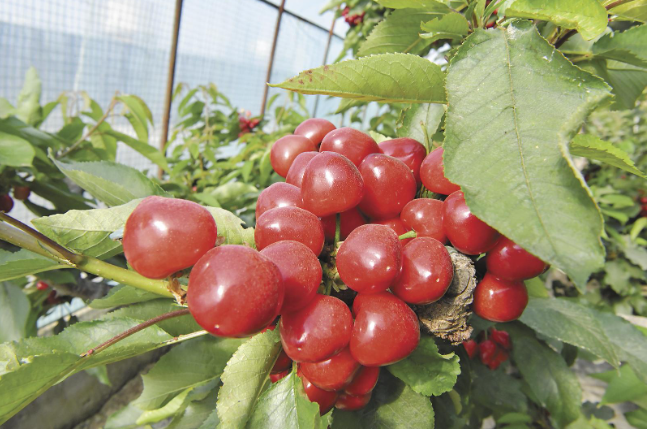 ScreenShot_2026-03-26_062936_831