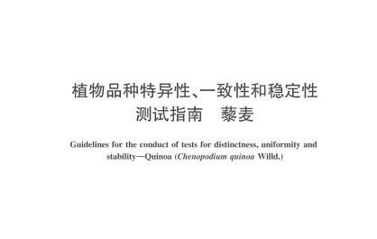 【经济聚焦】十年，为藜麦制定出“身份核验标准”